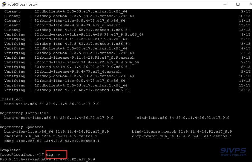 安装好后输入“dig -v”验证安装好的版本