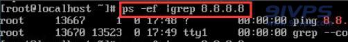 通过查看进程命令如ps -ef |grep 8.8.8.8可以查看进程信息